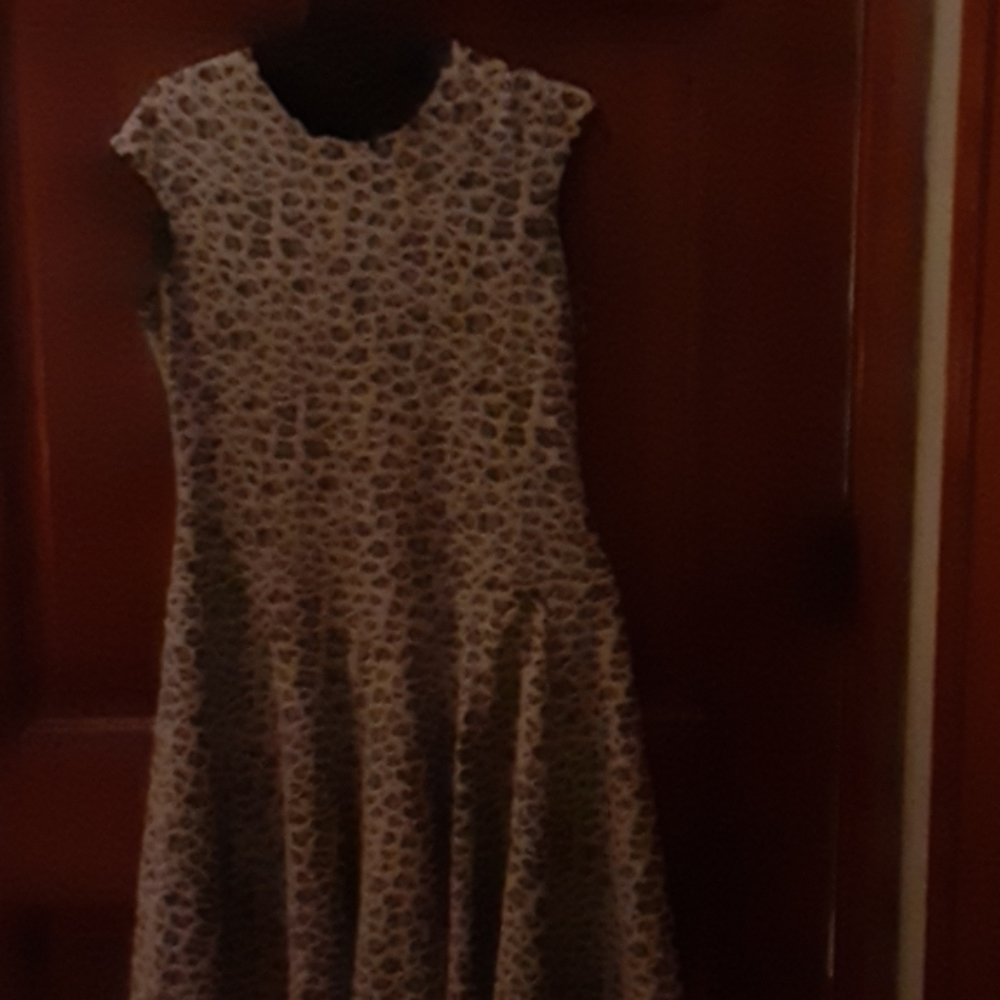 Gabby Skye dress